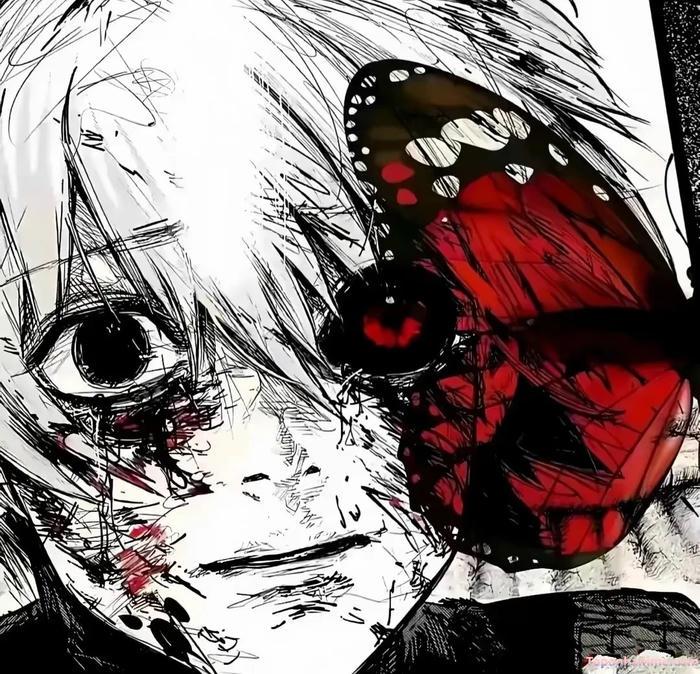 Mẫu ảnh Kaneki Ken 14