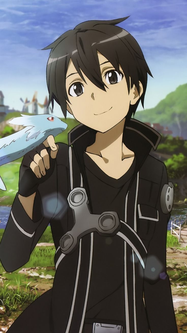 Ảnh Kirito 15