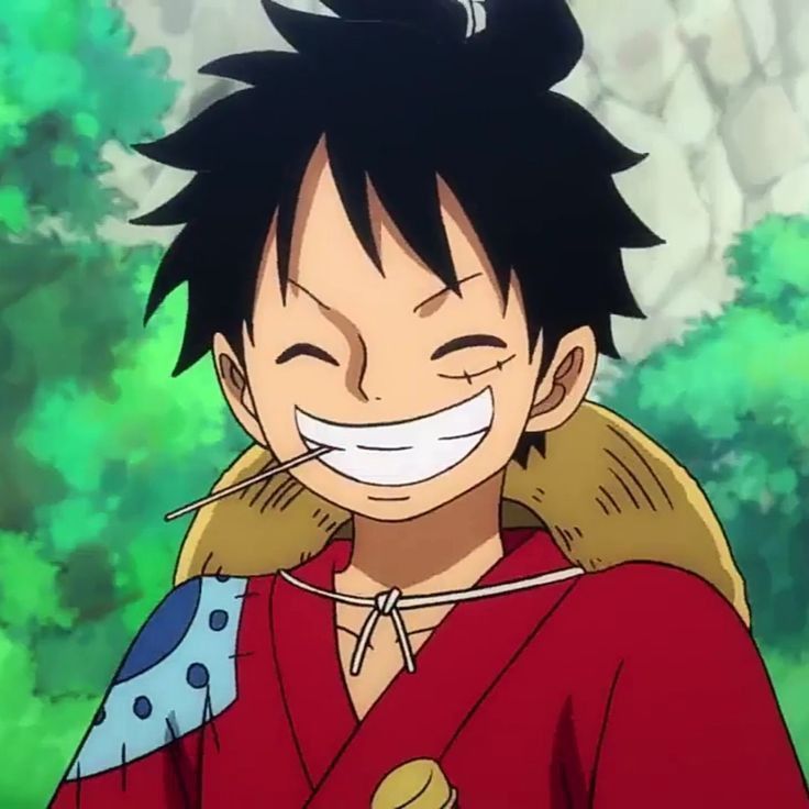 Luffy cười 5