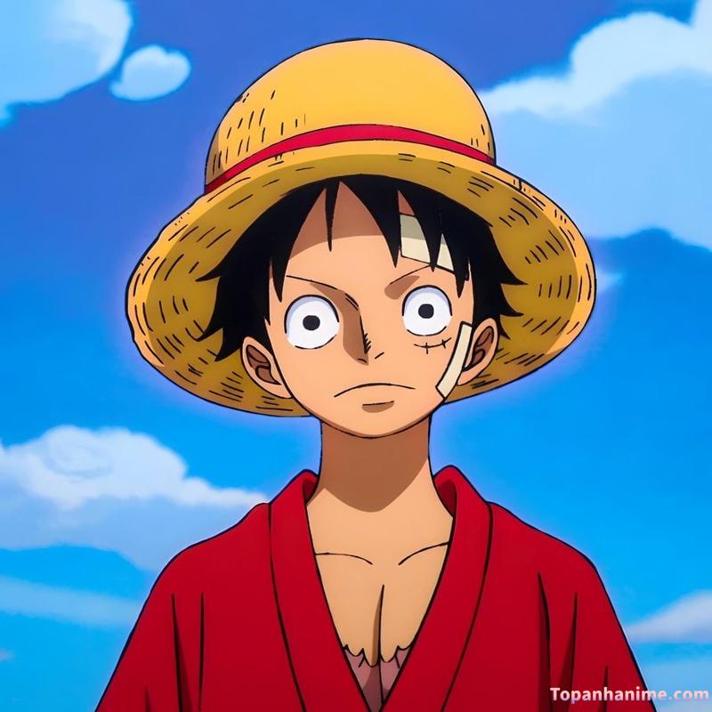ảnh anime Luffy 5