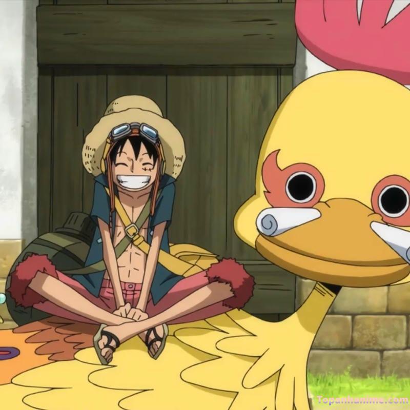 ảnh anime Luffy 6