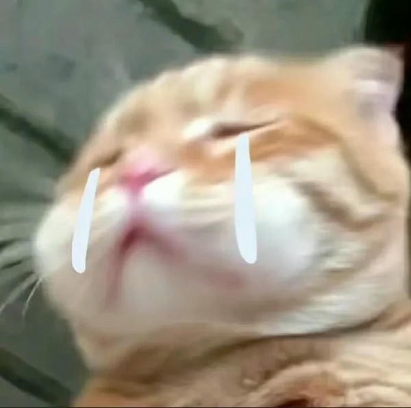 ảnh mèo buồn cute 3