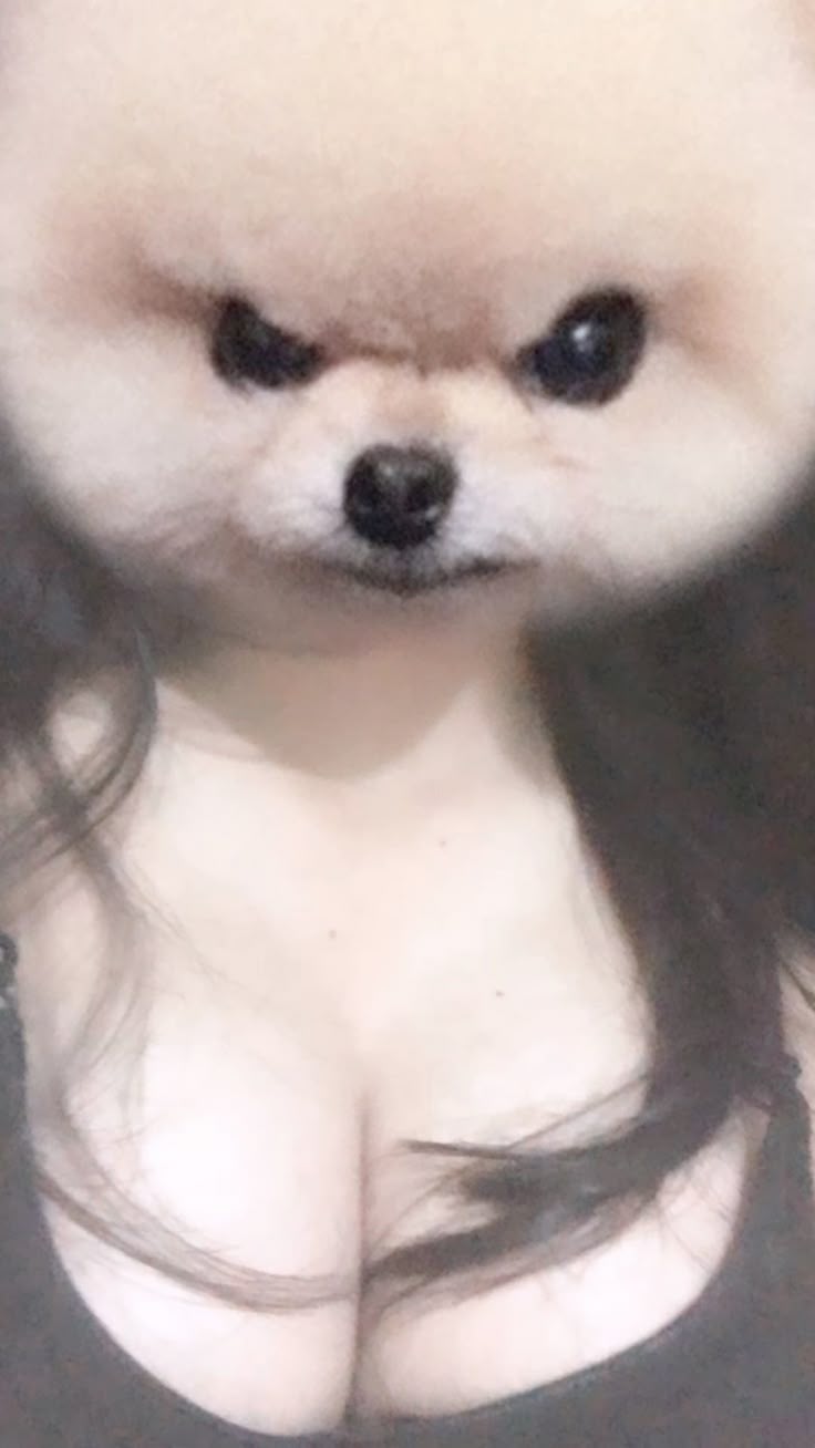 Ảnh ngực quyến rũ 3