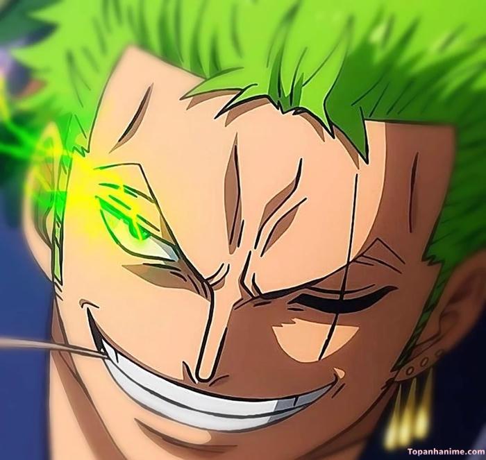 Mẫu ảnh Roronoa Zoro 9