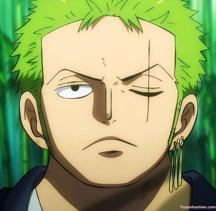 Mẫu ảnh Roronoa Zoro 12