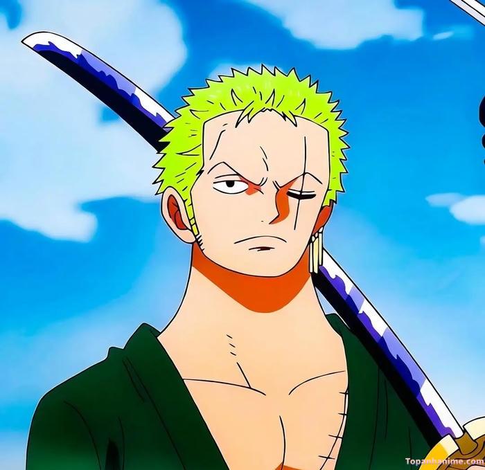 Mẫu ảnh Roronoa Zoro 29
