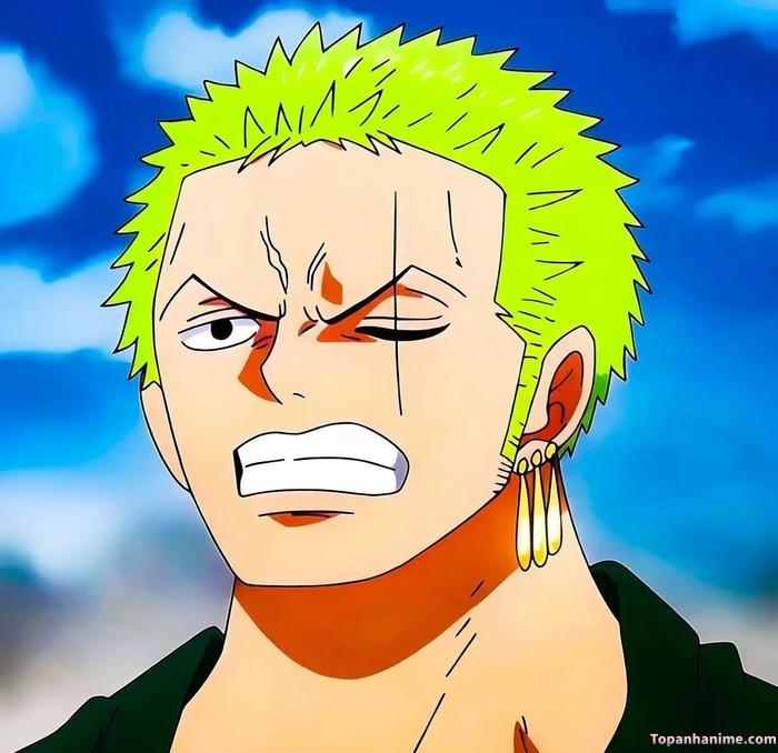 Mẫu ảnh Roronoa Zoro 30