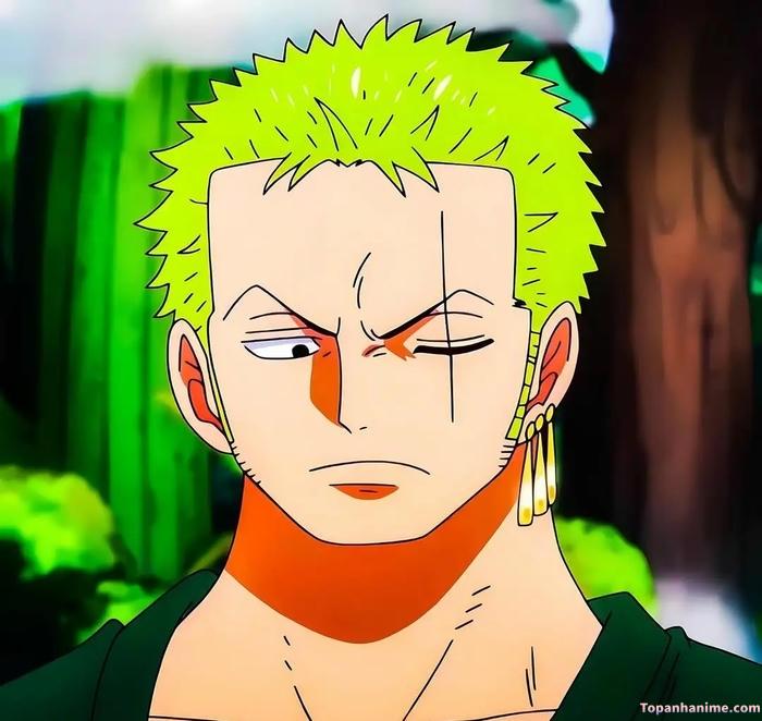 Mẫu ảnh Roronoa Zoro 33