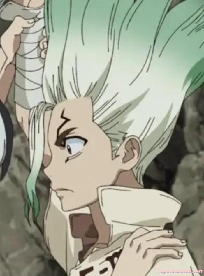 Mẫu ảnh Senku Ishigami 2