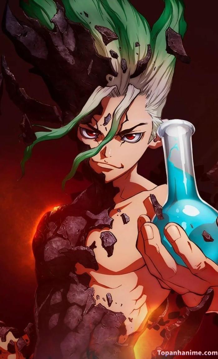 Mẫu ảnh Senku Ishigami 7