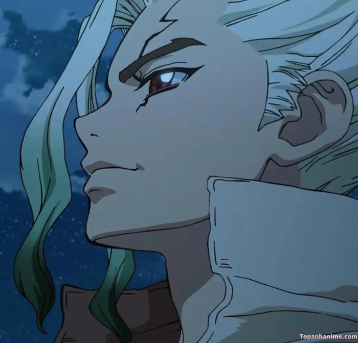 Mẫu ảnh Senku Ishigami 11