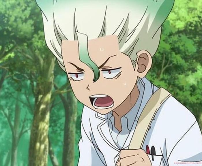 Mẫu ảnh Senku Ishigami 19