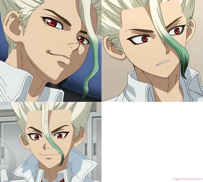 Mẫu ảnh Senku Ishigami 25