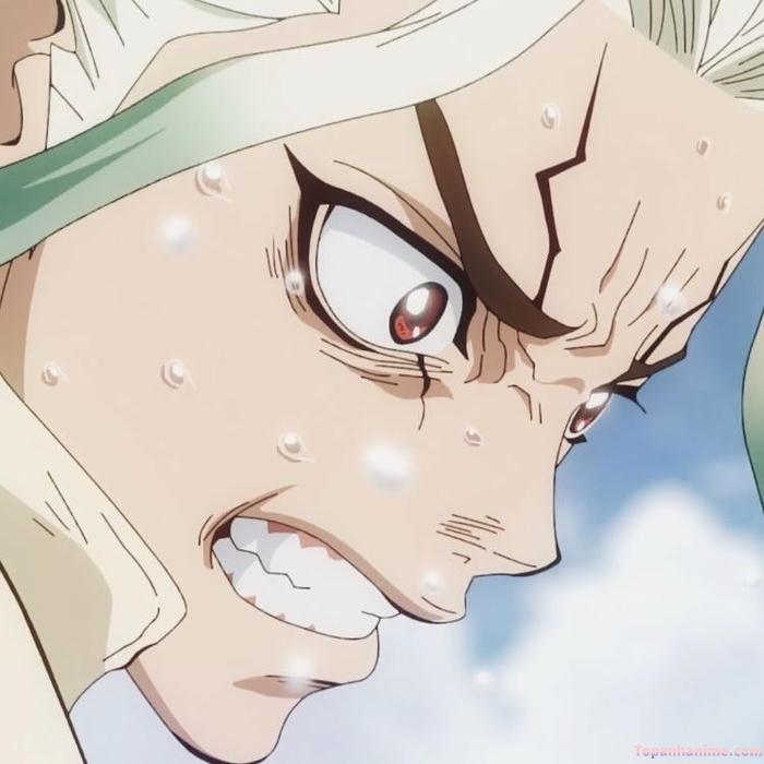 Mẫu ảnh Senku Ishigami 28