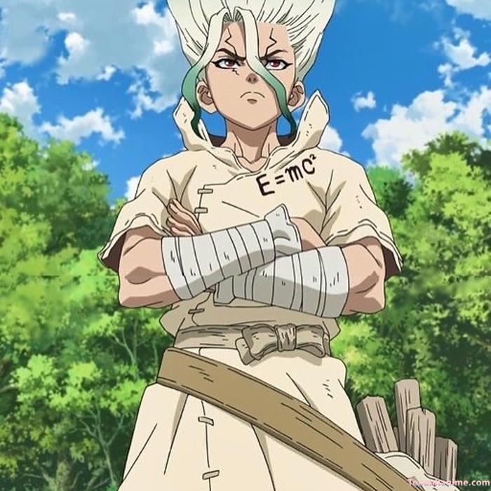 Mẫu ảnh Senku Ishigami 34