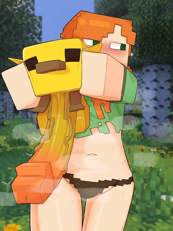 Ảnh Sex Minecraft 19