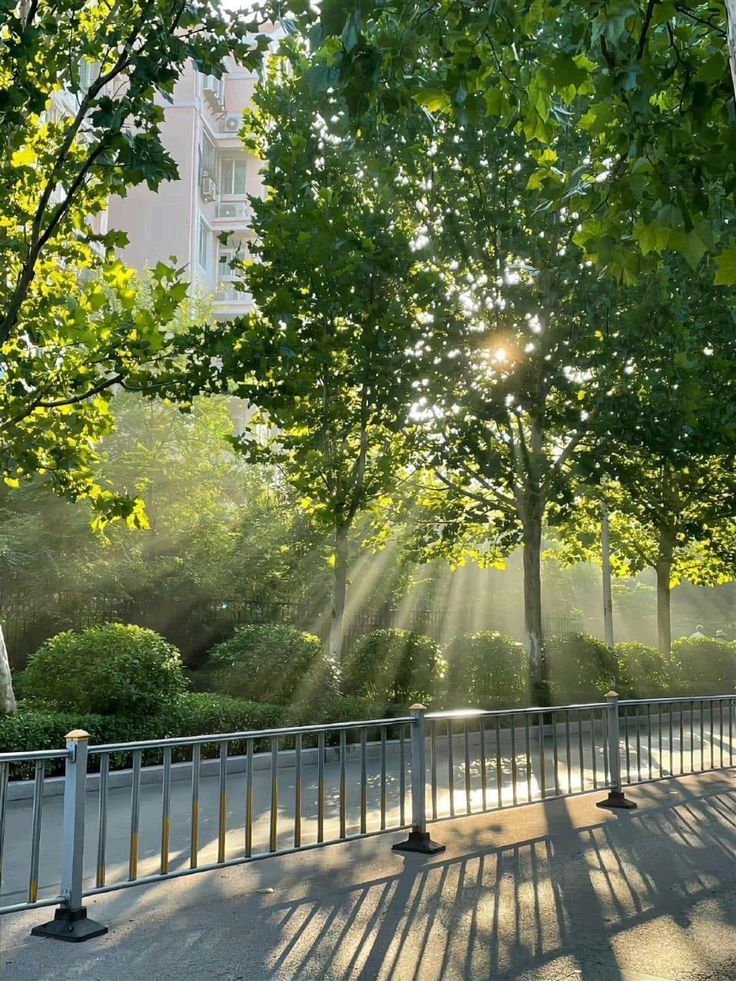 Ảnh Thiên Nhiên 14