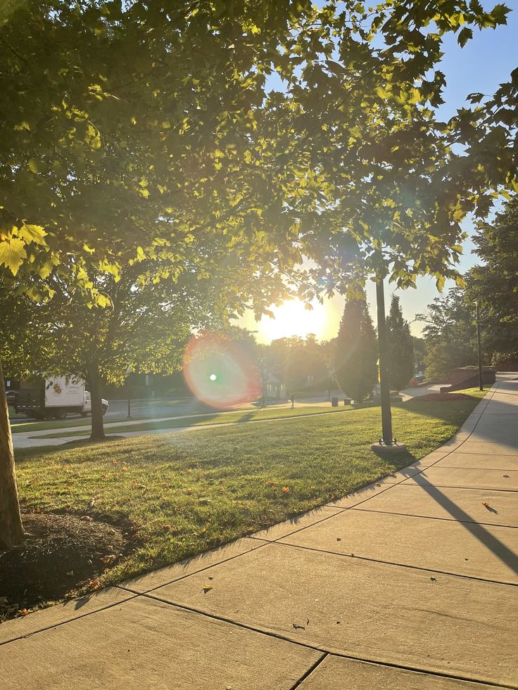 Ảnh Thiên Nhiên 17