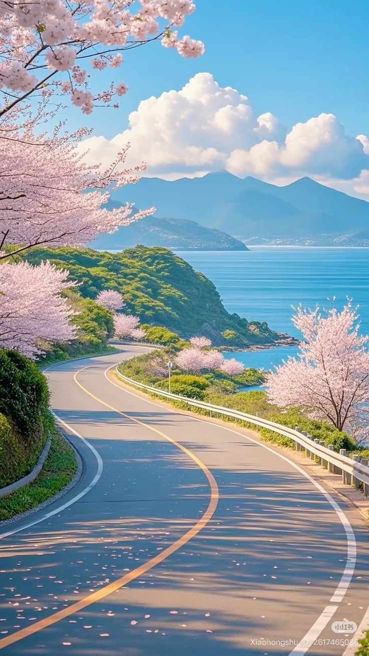 Ảnh Thiên Nhiên 18