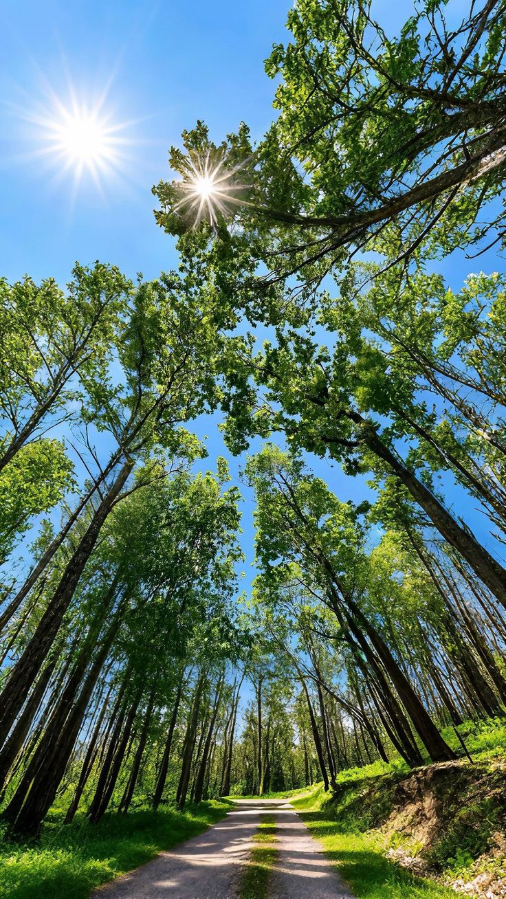 Ảnh Thiên Nhiên 2