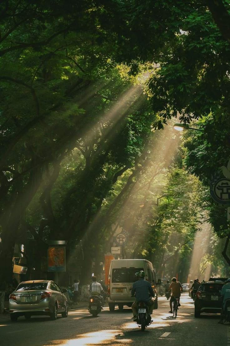 Ảnh Thiên Nhiên 9