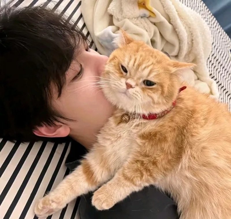 ảnh trai đẹp che mặt 39