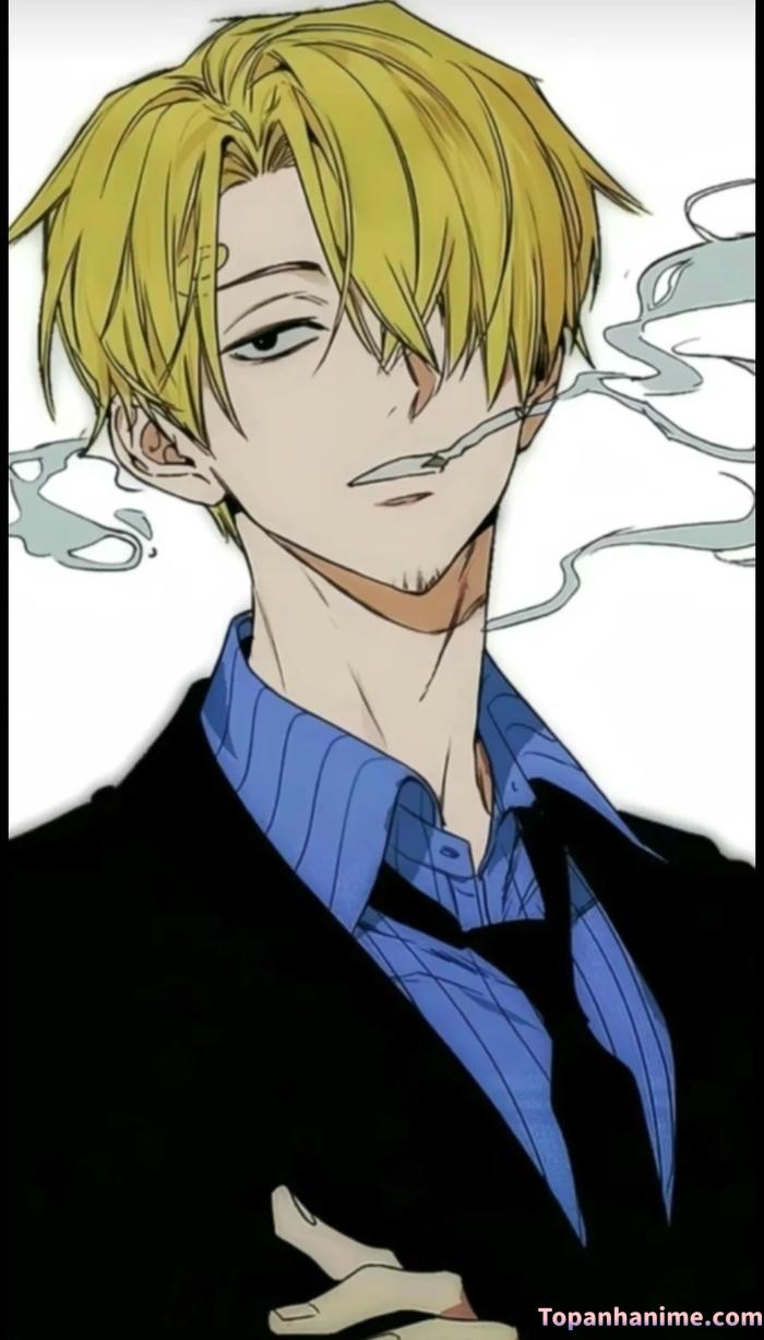 Mẫu ảnh Vinsmoke Sanji 35