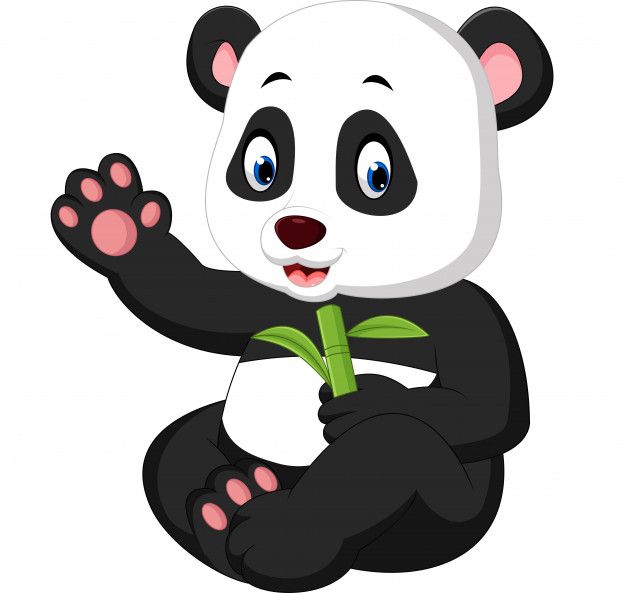 Anime Panda 4