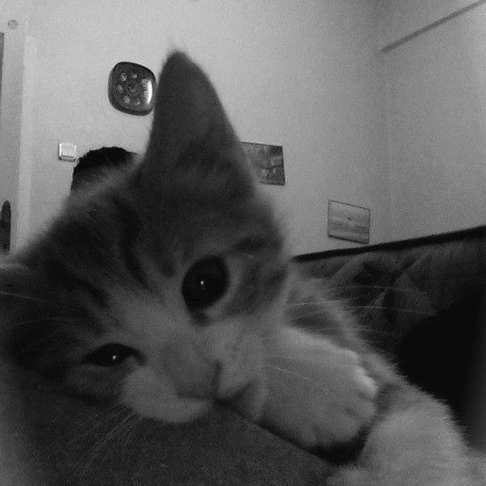 Avatar Buồn Tâm Trạng 14