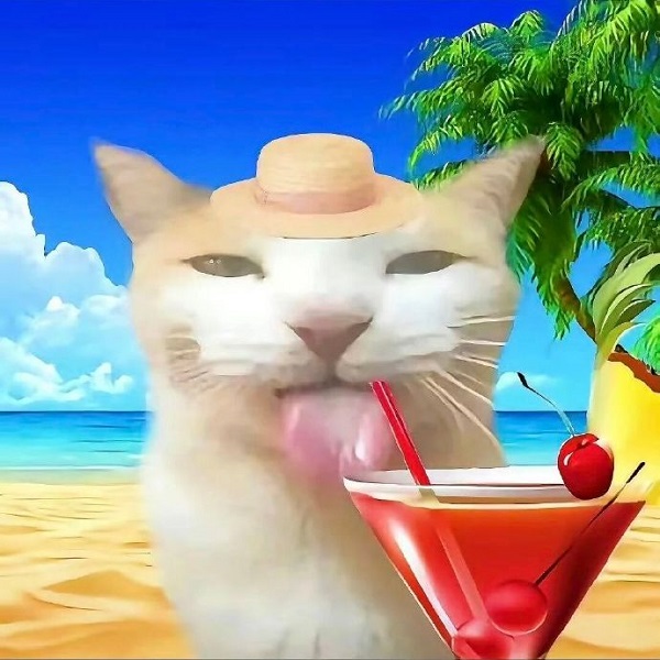 Avatar Đôi Vô Tri 5