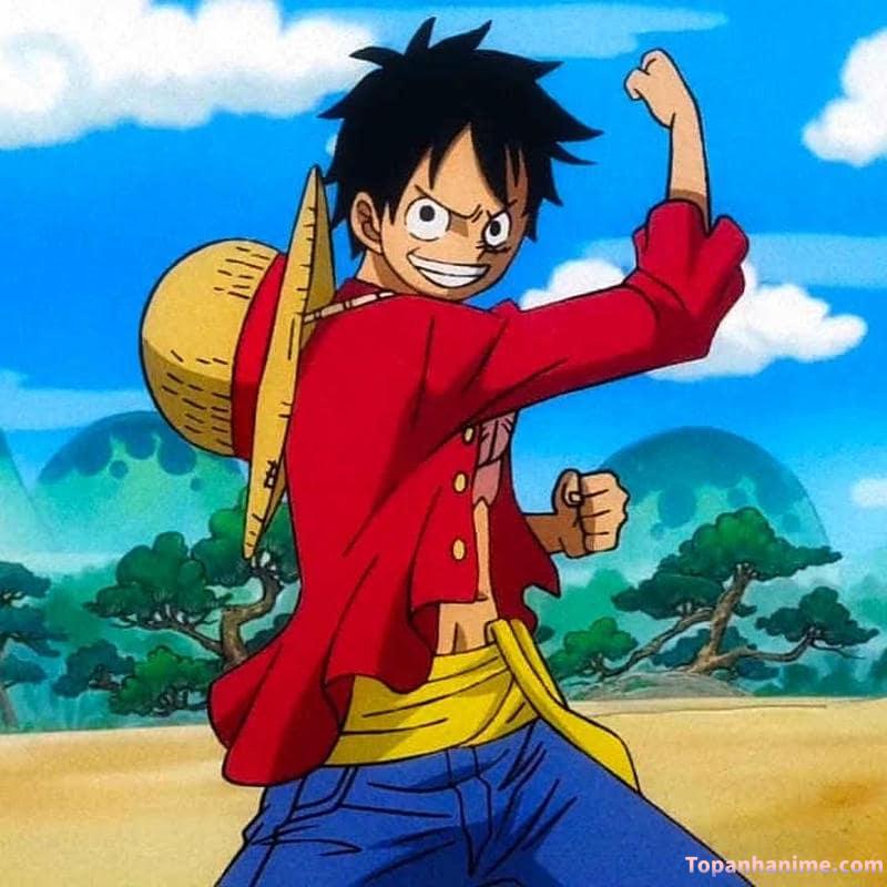 ảnh anime Luffy 19