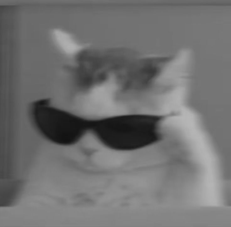 Avatar Mèo Ngầu 9