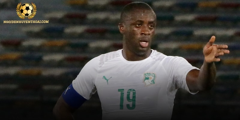 Bảng vàng thành tích cá nhân, tập thể cực kỳ đồ sộ của Yaya Touré