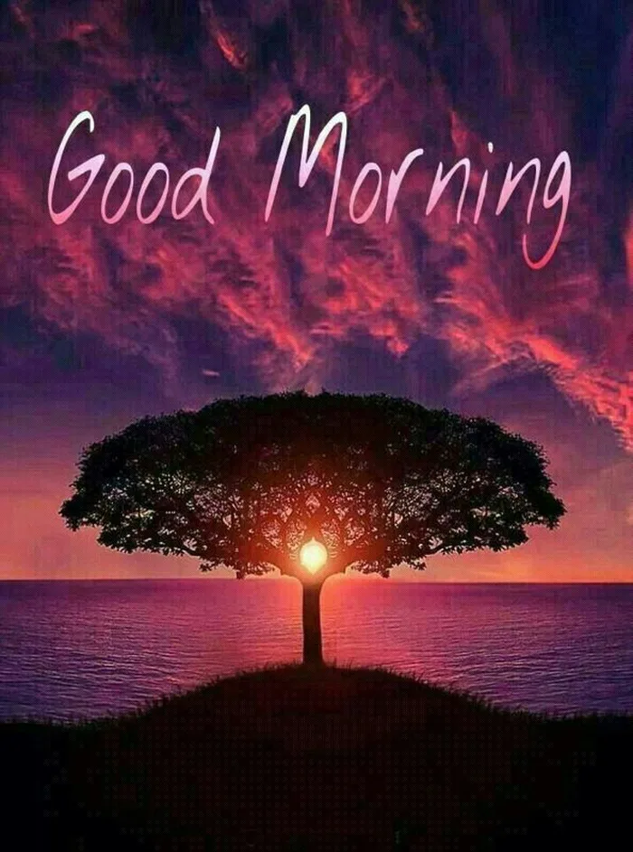 Beautiful Nature Good Morning Images 64