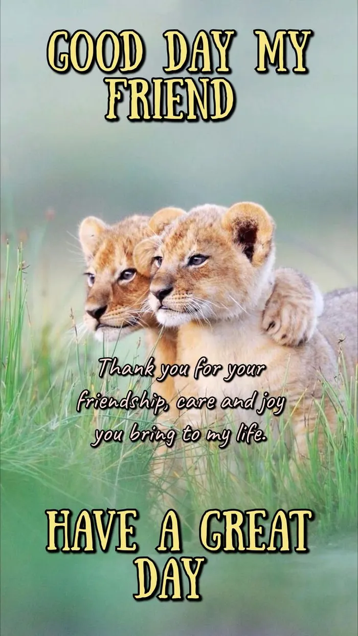 Friend Good Morning Images 47