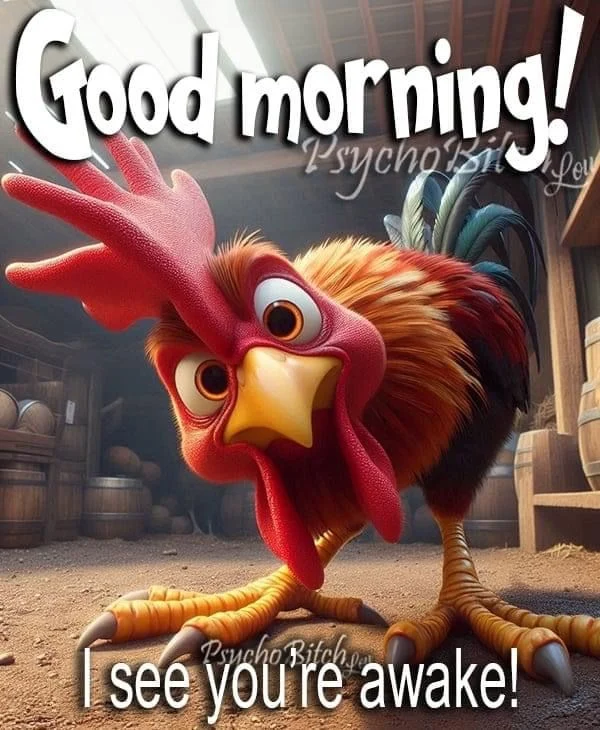 Funny Good Morning Images 47