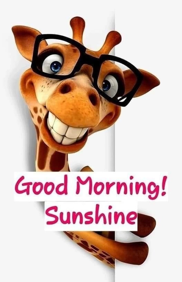 Funny Good Morning Images 48