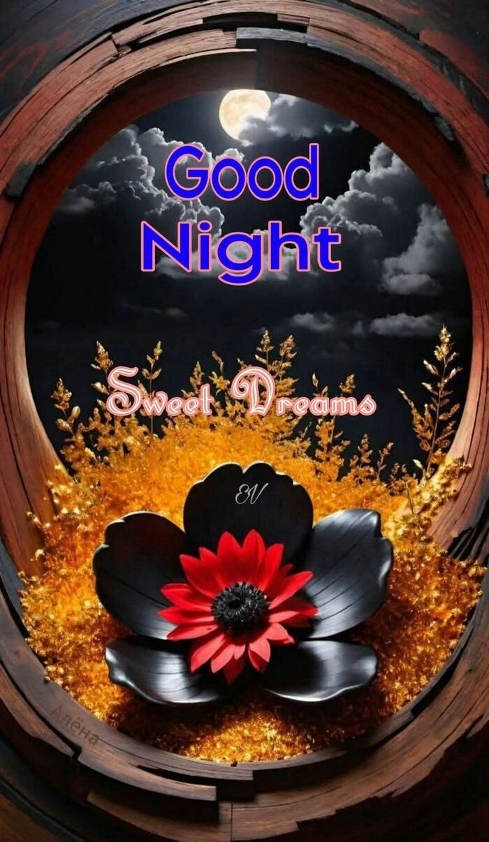 Funny Good Night Images 5