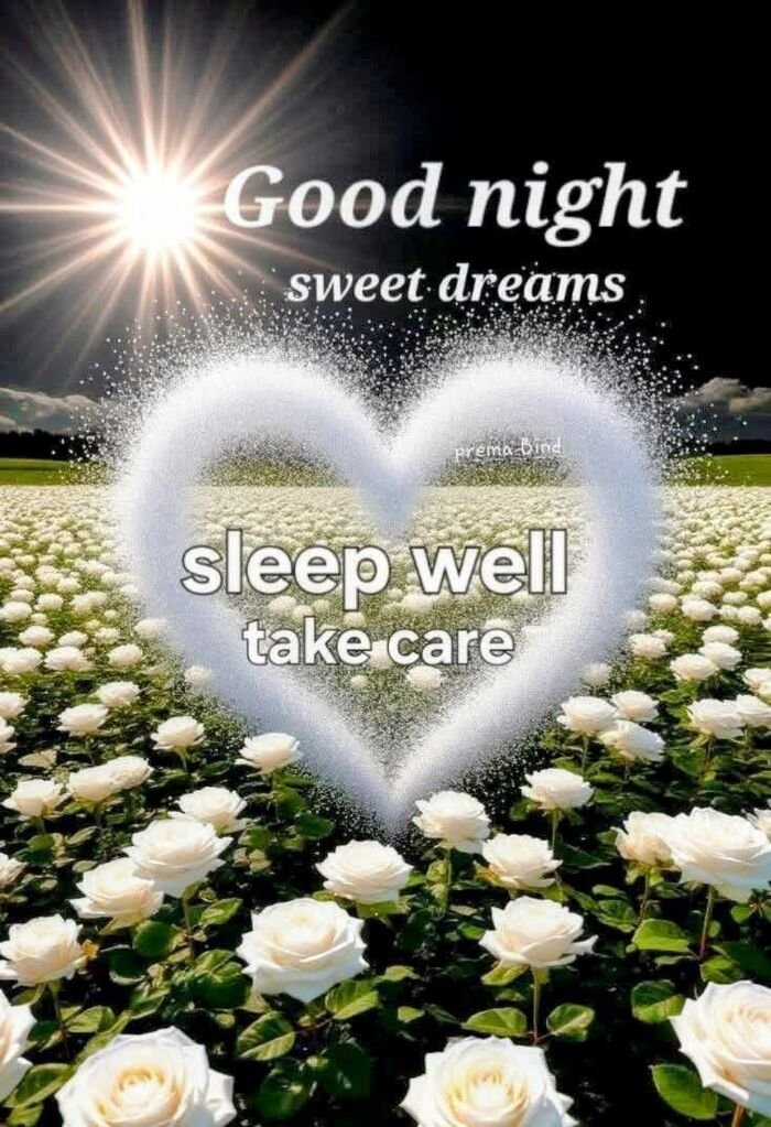 Funny Good Night Images 6