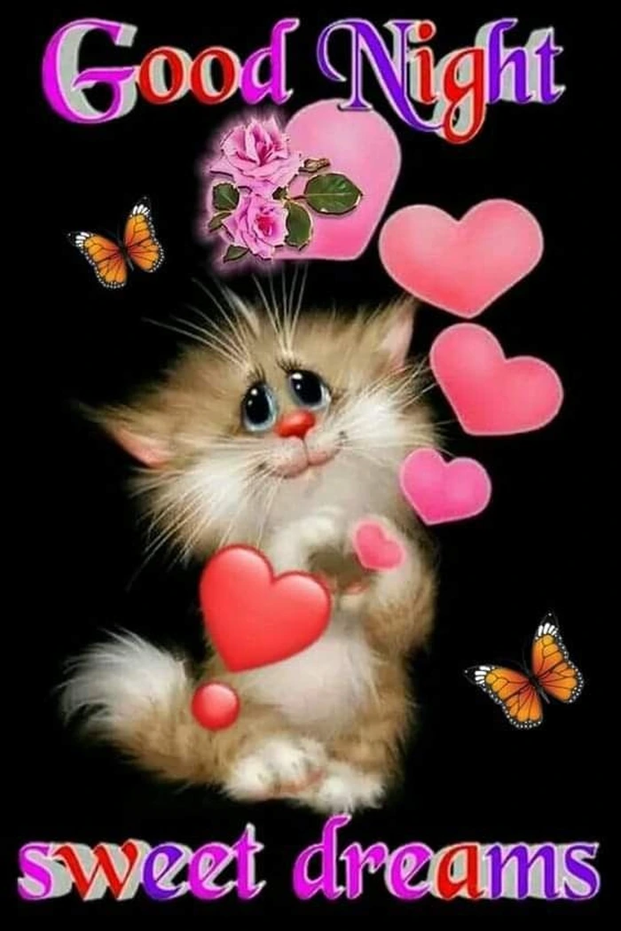 Funny Good Night Images 45