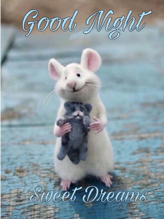 Funny Good Night Images 61