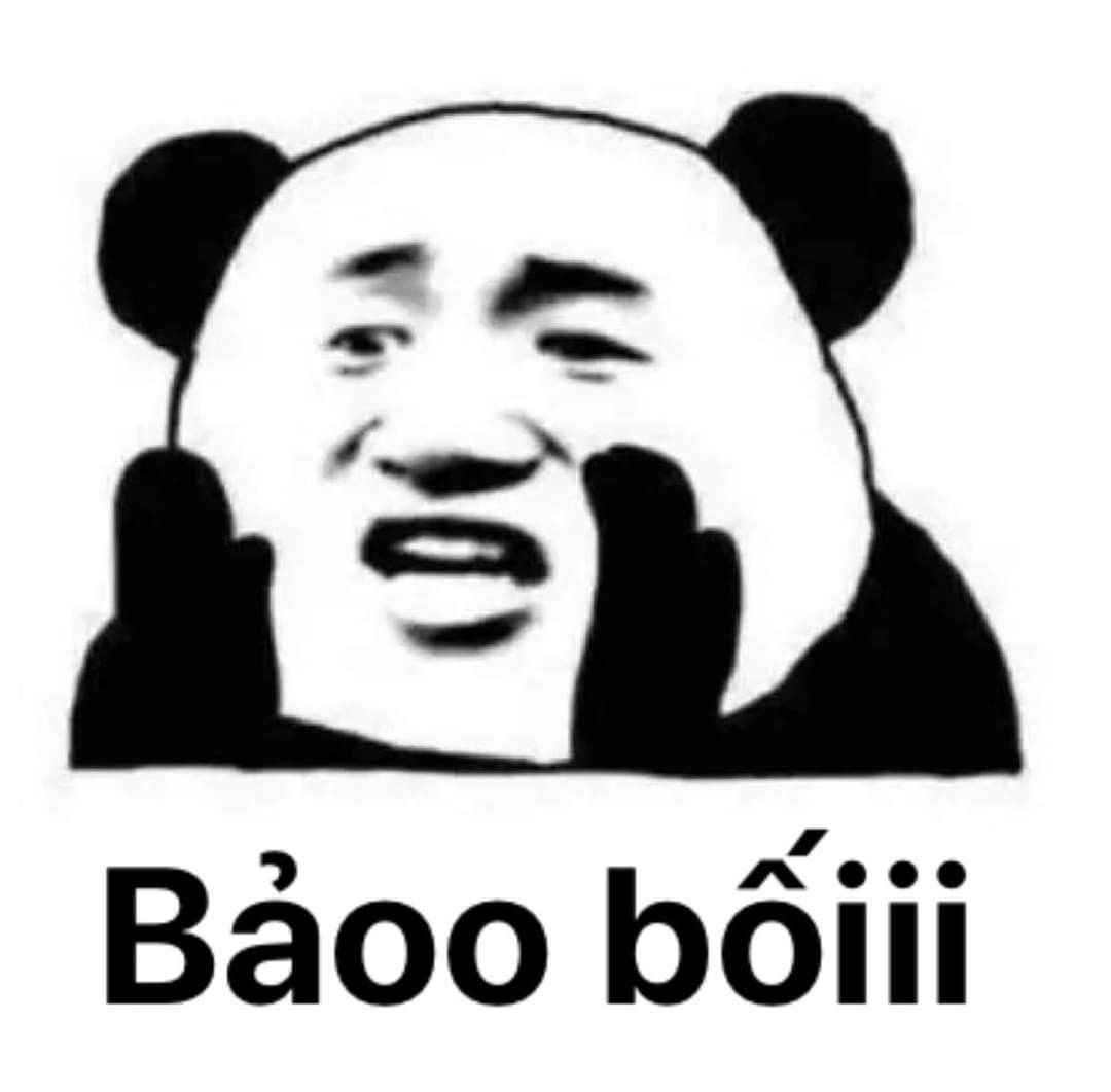 ảnh Gấu Trúc Meme 16