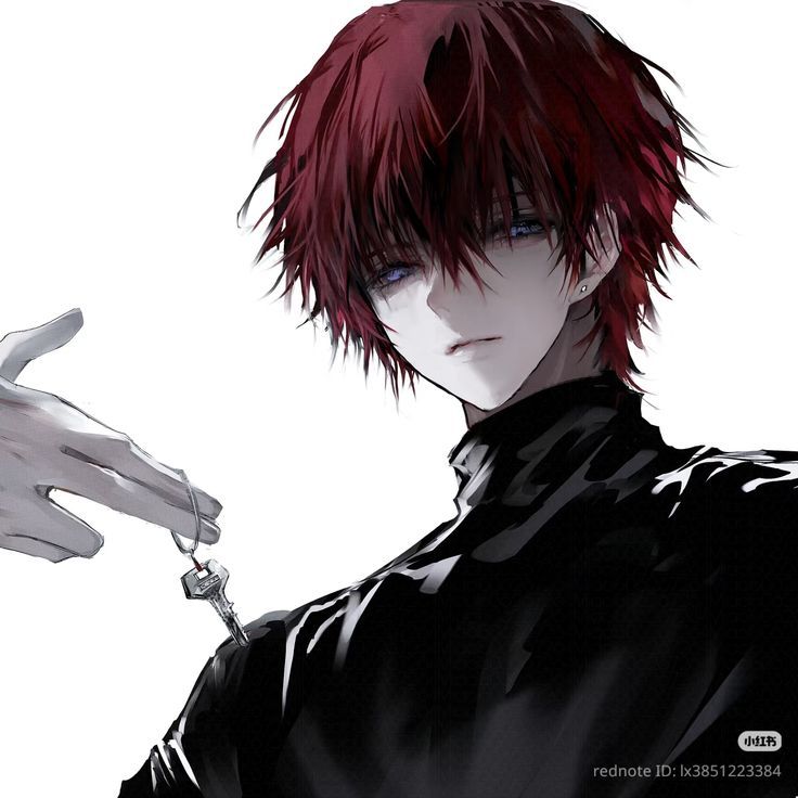 Hình Ảnh Anime Ngầu Nam 7