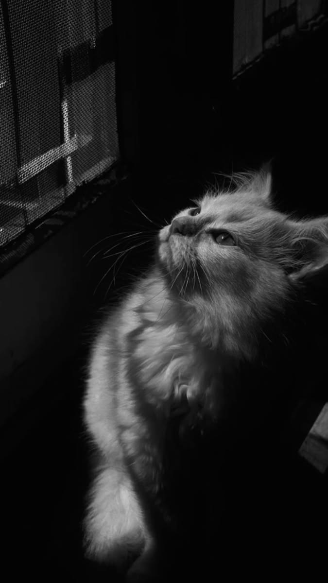 Hình Ảnh Buồn 14