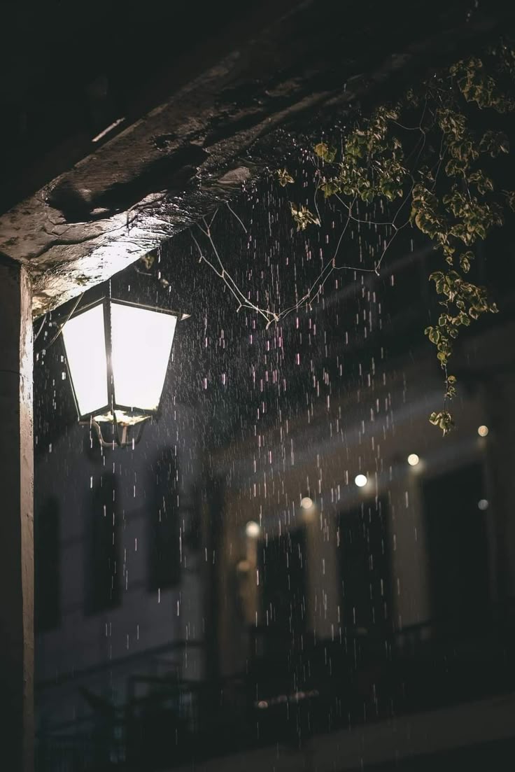 Hình Ảnh Buồn 8