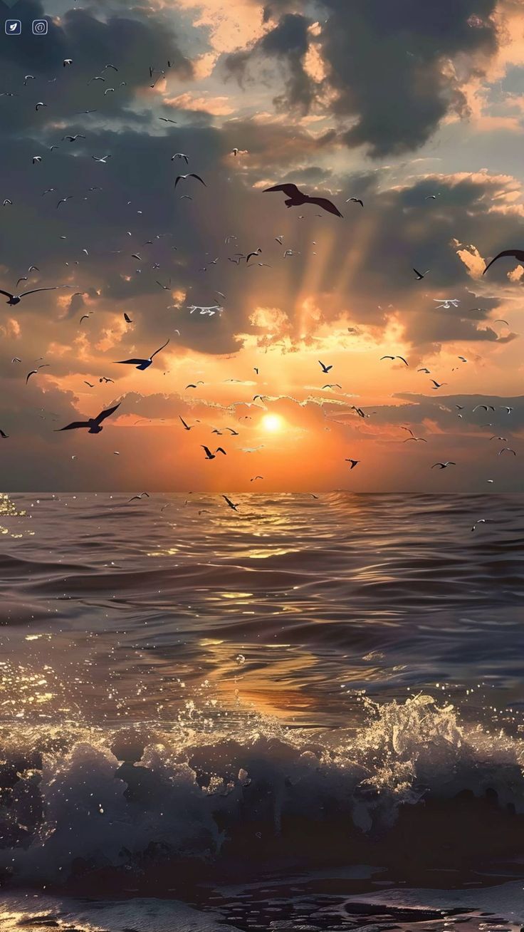 Hình Ảnh Buồn 7