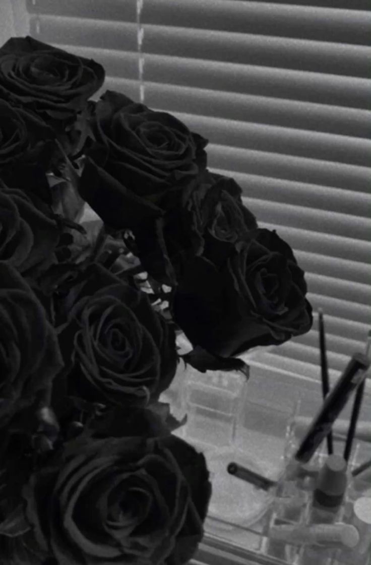 Hình Ảnh Hoa Hồng Đen 6