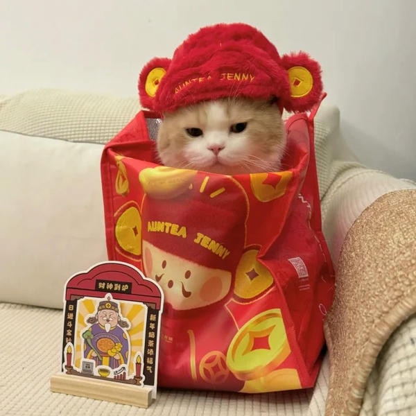 hình ảnh mèo thần tài 31