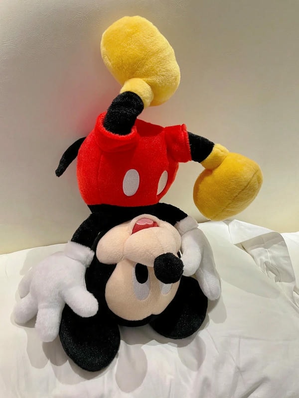ảnh Mickey 32