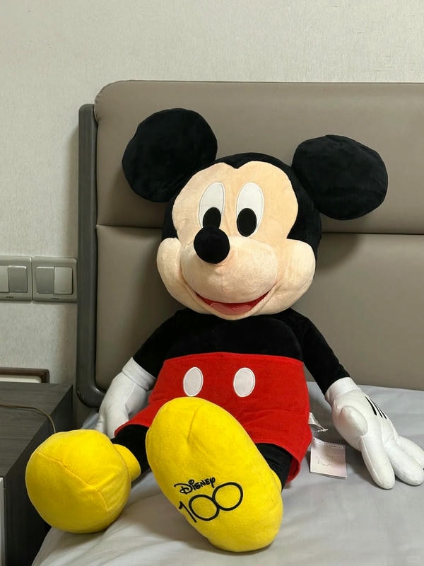 ảnh Mickey 13